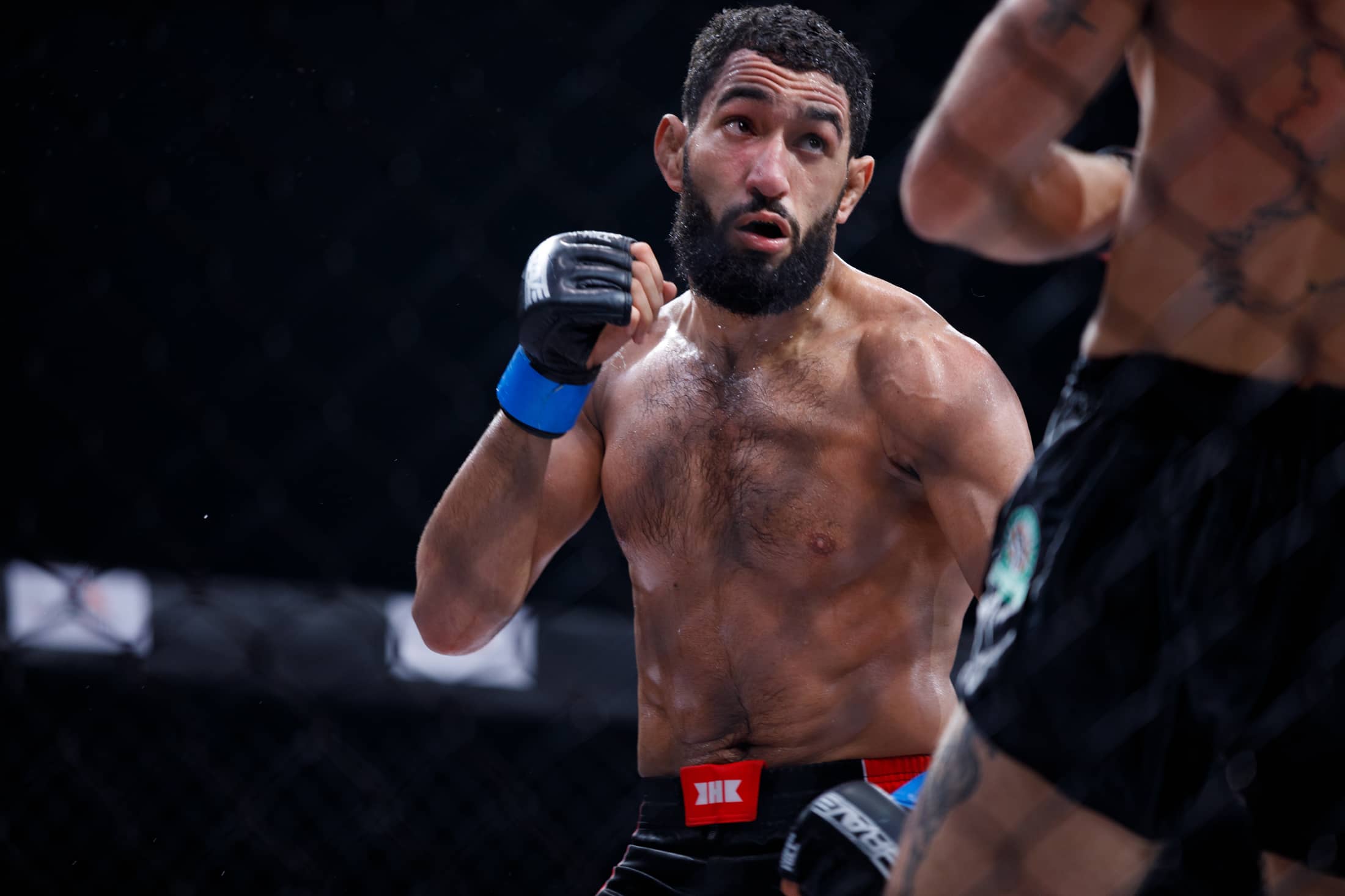 Ahmed Amir Goes Off On BRAVE CF Lightweight King Amin Ayoub Again ...