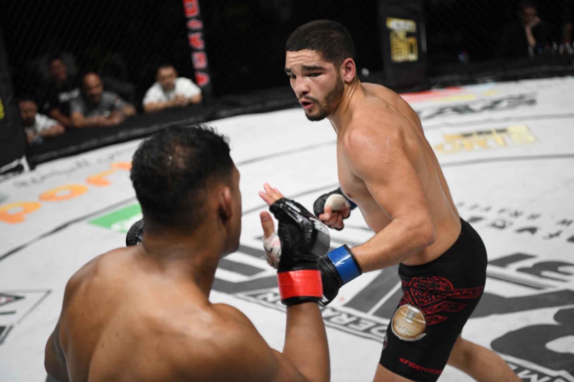 brave cf title challenger amin ayoub reveals photo of champ predator on his room focused on winning
